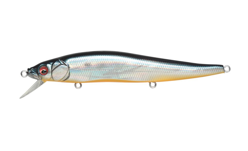Ito Vision 110-GG Deadly Black Shad IL