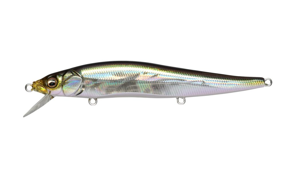Ito Vision 110-GG IL Tennessee Shad