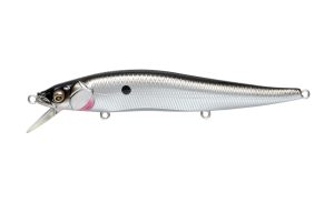 Ito Vision 110-Ozark Shad